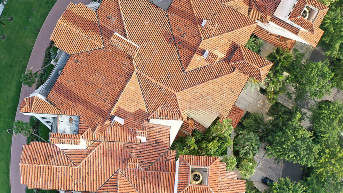 Roof Surveys